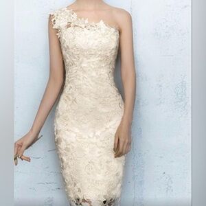 Elegant Lace One-Shoulder Champagne Dress - with tags. MSRP $189